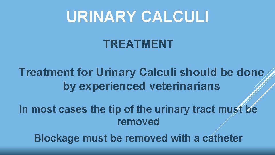 URINARY CALCULI TREATMENT Treatment for Urinary Calculi should be done by experienced veterinarians In