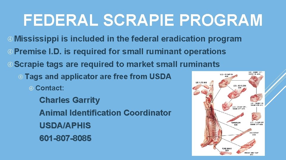 FEDERAL SCRAPIE PROGRAM Mississippi Premise Scrapie Tags is included in the federal eradication program FEDERAL SCRAPIE PROGRAM Mississippi Premise Scrapie Tags is included in the federal eradication program