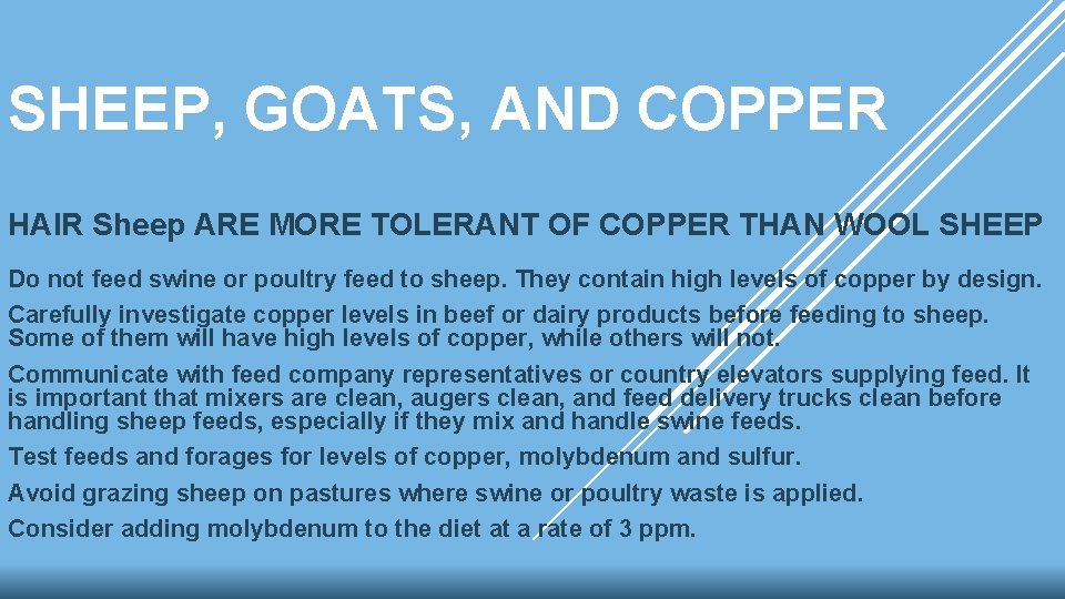 SHEEP, GOATS, AND COPPER HAIR Sheep ARE MORE TOLERANT OF COPPER THAN WOOL SHEEP