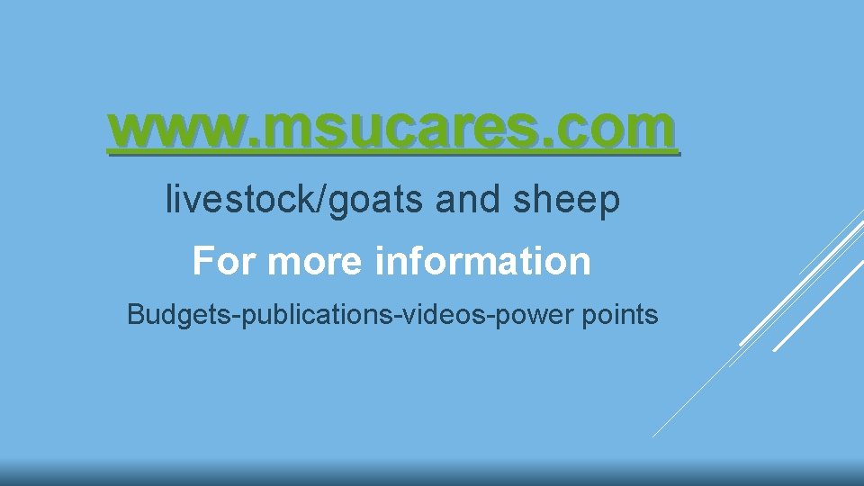 www. msucares. com livestock/goats and sheep For more information Budgets-publications-videos-power points 