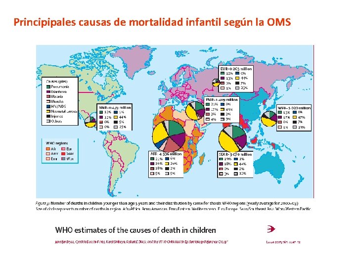 Principipales causas de mortalidad infantil según la OMS 