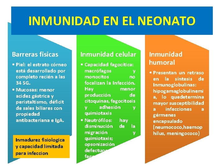 INMUNIDAD EN EL NEONATO Barreras fisicas Inmunidad celular • Piel: el estrato córneo está