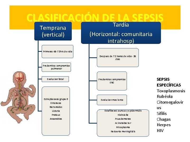 CLASIFICACIÓN DETardía LA SEPSIS Temprana (vertical) (Horizontal: comunitaria intrahosp) Primeras 48 -72 hrs de