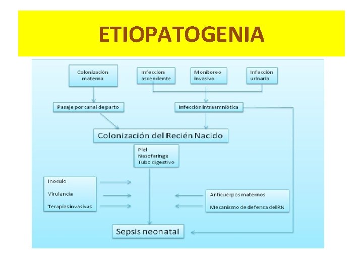 ETIOPATOGENIA 