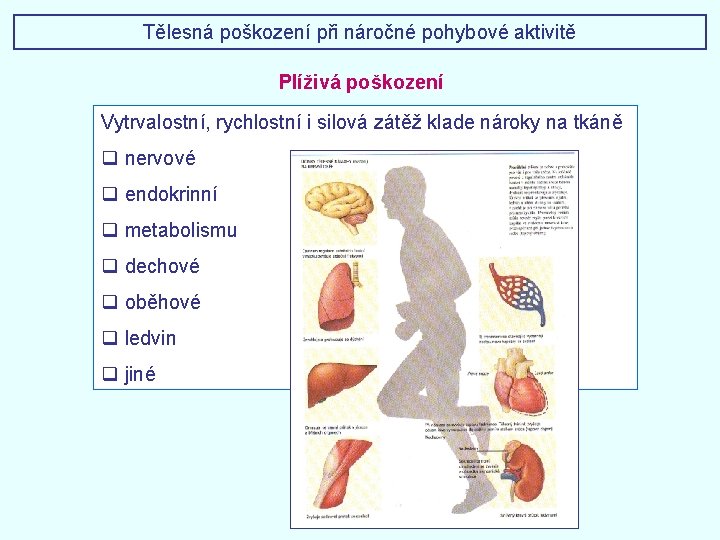 Tělesná poškození při náročné pohybové aktivitě Plíživá poškození Vytrvalostní, rychlostní i silová zátěž klade