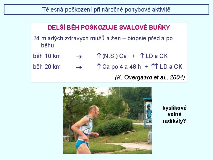 Tělesná poškození při náročné pohybové aktivitě DELŠÍ BĚH POŠKOZUJE SVALOVÉ BUŇKY 24 mladých zdravých Tělesná poškození při náročné pohybové aktivitě DELŠÍ BĚH POŠKOZUJE SVALOVÉ BUŇKY 24 mladých zdravých