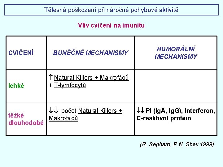 Tělesná poškození při náročné pohybové aktivitě Vliv cvičení na imunitu CVIČENÍ lehké BUNĚČNÉ MECHANISMY