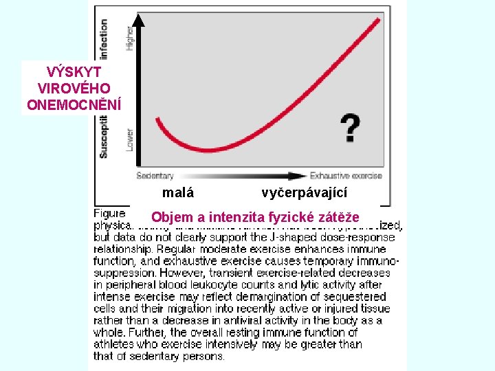 VÝSKYT VIROVÉHO ONEMOCNĚNÍ malá vyčerpávající Objem a intenzita fyzické zátěže 