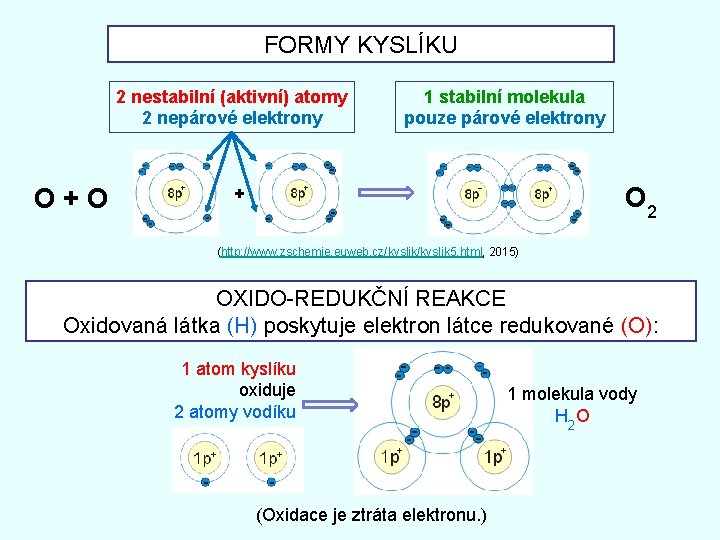 FORMY KYSLÍKU 2 nestabilní (aktivní) atomy 2 nepárové elektrony O+O 1 stabilní molekula pouze