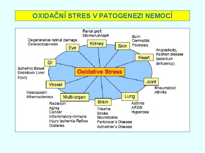 OXIDAČNÍ STRES V PATOGENEZI NEMOCÍ OXIDAČNÍ STRES V PATOGENEZI NEMOCÍ