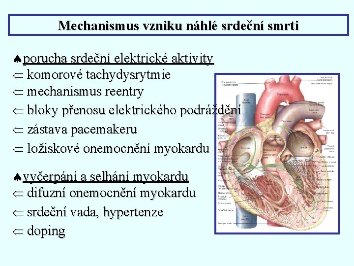 Mechanismus vzniku náhlé srdeční smrti ªporucha srdeční elektrické aktivity Ü komorové tachydysrytmie Ü mechanismus Mechanismus vzniku náhlé srdeční smrti ªporucha srdeční elektrické aktivity Ü komorové tachydysrytmie Ü mechanismus