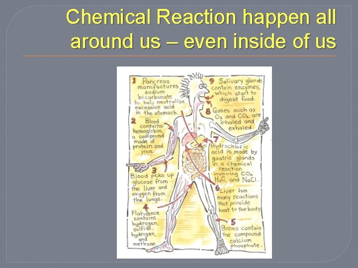 Chemical Reaction happen all around us – even inside of us 