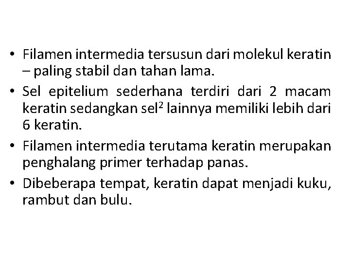  • Filamen intermedia tersusun dari molekul keratin – paling stabil dan tahan lama.