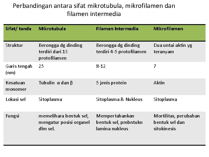 Perbandingan antara sifat mikrotubula, mikrofilamen dan filamen intermedia Sifat/ tanda Mikrotubula Filamen Intermedia Mikrofilamen