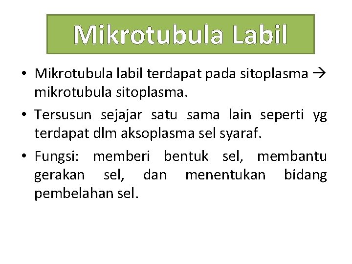 Mikrotubula Labil • Mikrotubula labil terdapat pada sitoplasma mikrotubula sitoplasma. • Tersusun sejajar satu