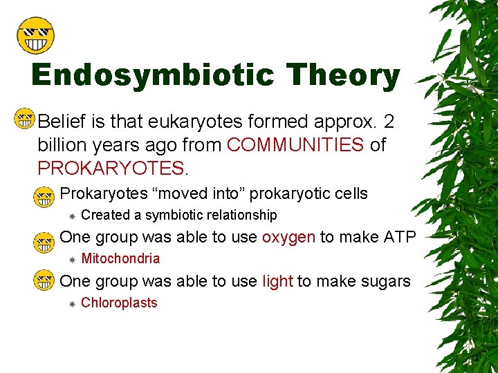 Endosymbiotic Theory Belief is that eukaryotes formed approx. 2 billion years ago from COMMUNITIES