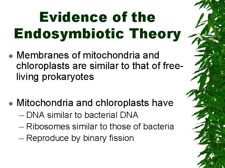 Evidence of the Endosymbiotic Theory Membranes of mitochondria and chloroplasts are similar to that