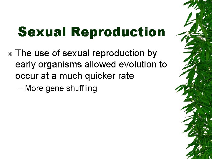 Sexual Reproduction The use of sexual reproduction by early organisms allowed evolution to occur