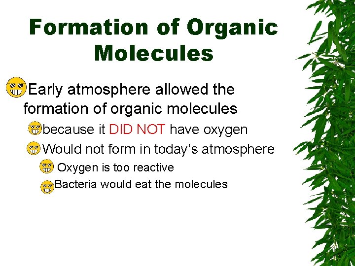 Formation of Organic Molecules Early atmosphere allowed the formation of organic molecules – because