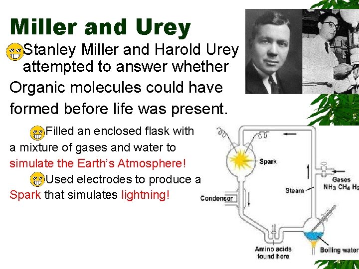 Miller and Urey Stanley Miller and Harold Urey attempted to answer whether Organic molecules