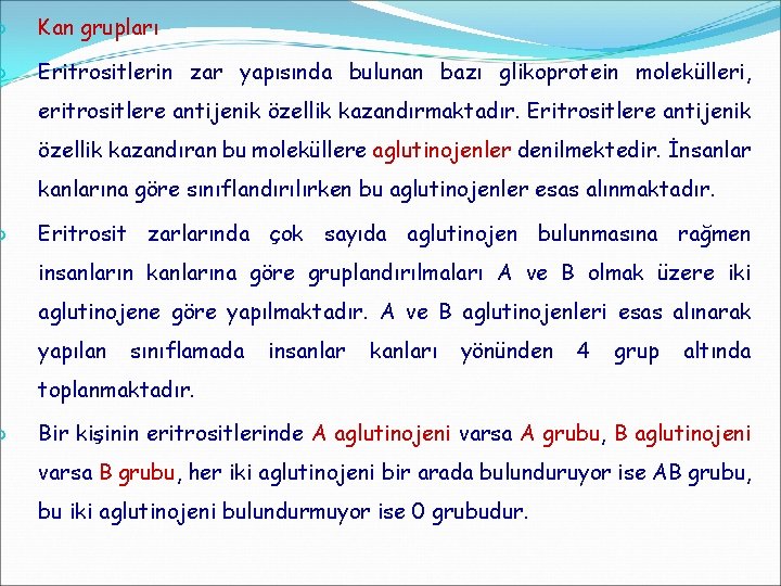  Kan grupları Eritrositlerin zar yapısında bulunan bazı glikoprotein molekülleri, eritrositlere antijenik özellik kazandırmaktadır.