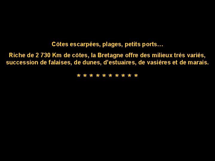 Côtes escarpées, plages, petits ports… Riche de 2 730 Km de côtes, la Bretagne
