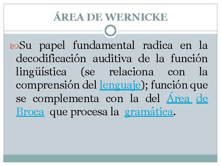 ÁREA DE WERNICKE Su papel fundamental radica en la decodificación auditiva de la función