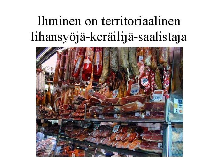 Ihminen on territoriaalinen lihansyöjä-keräilijä-saalistaja 