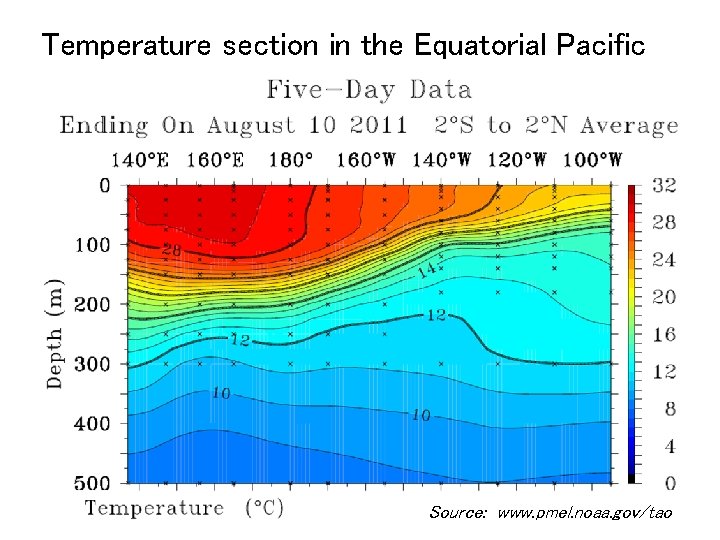 Temperature section in the Equatorial Pacific Source: www. pmel. noaa. gov/tao 