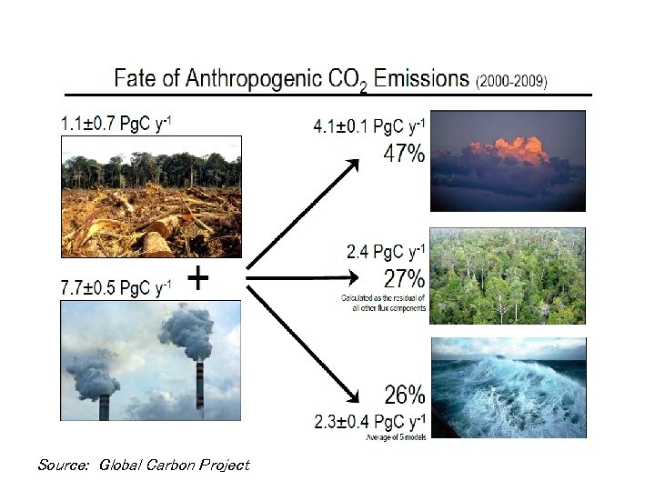 Source: Global Carbon Project 