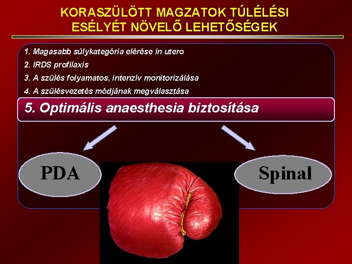 KORASZÜLÖTT MAGZATOK TÚLÉLÉSI ESÉLYÉT NÖVELŐ LEHETŐSÉGEK 1. Magasabb súlykategória elérése in utero 2. IRDS