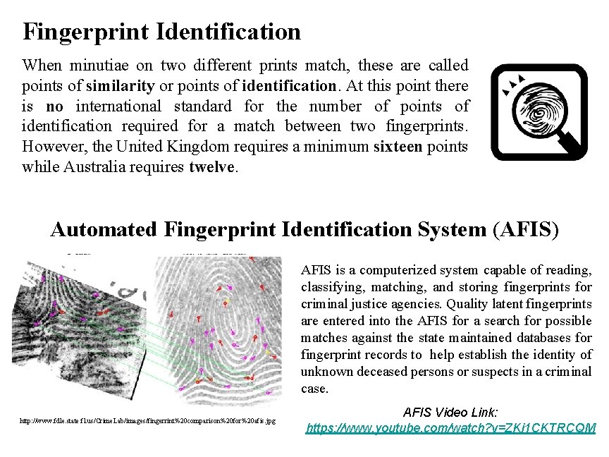 Fingerprint Identification When minutiae on two different prints match, these are called points of