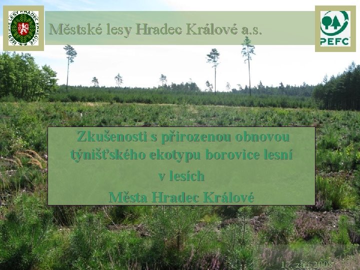 Městské lesy Hradec Králové a. s. Zkušenosti s přirozenou obnovou týnišťského ekotypu borovice lesní