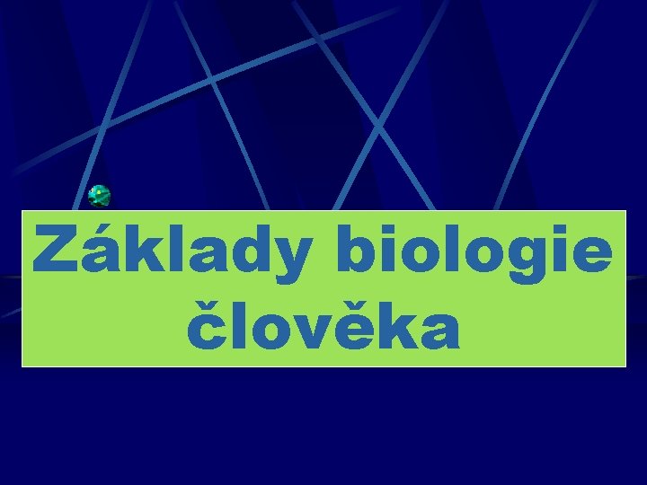 Základy biologie člověka 