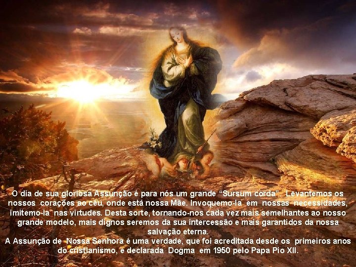 O dia de sua gloriosa Assunção é para nós um grande “Sursum corda”. Levantemos