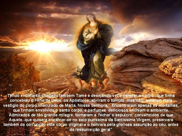 Tendo entretanto chegado também Tomé e desejando ver e venerar o corpo, que tinha