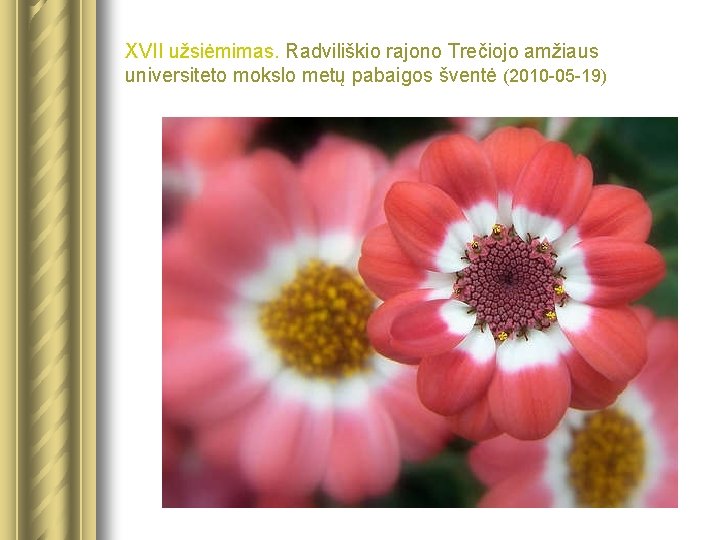 XVII užsiėmimas. Radviliškio rajono Trečiojo amžiaus universiteto mokslo metų pabaigos šventė (2010 -05 -19)