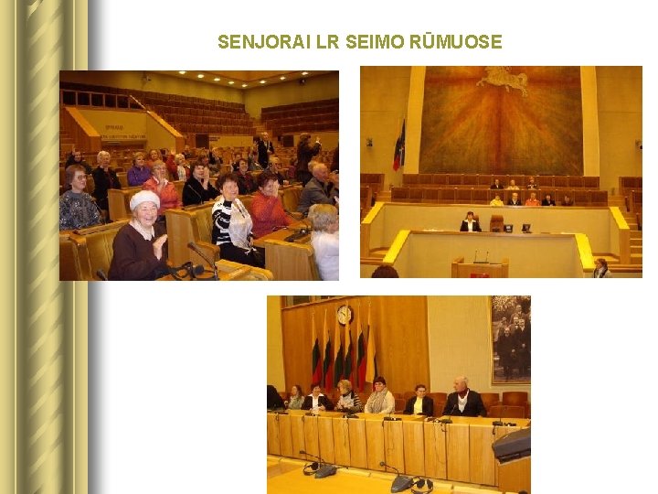SENJORAI LR SEIMO RŪMUOSE 