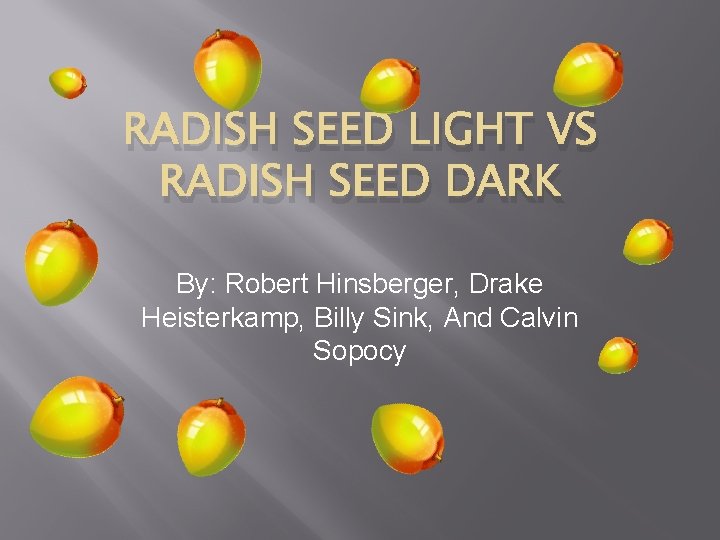 RADISH SEED LIGHT VS RADISH SEED DARK By: Robert Hinsberger, Drake Heisterkamp, Billy Sink,