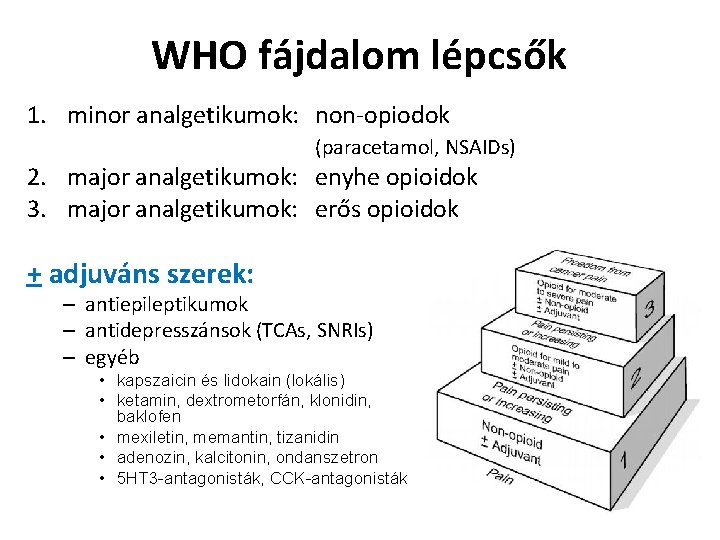 WHO fájdalom lépcsők 1. minor analgetikumok: non-opiodok (paracetamol, NSAIDs) 2. major analgetikumok: enyhe opioidok