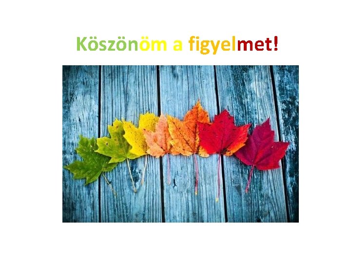 Köszönöm a figyelmet! 