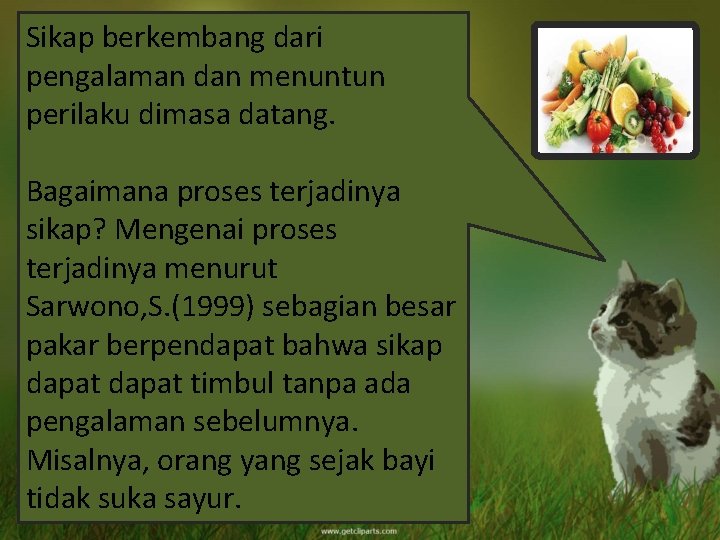 Sikap berkembang dari pengalaman dan menuntun perilaku dimasa datang. Bagaimana proses terjadinya sikap? Mengenai