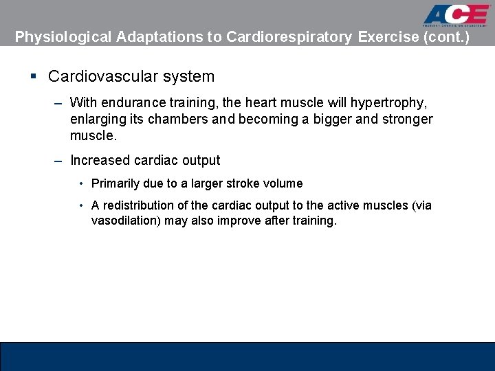 Physiological Adaptations to Cardiorespiratory Exercise (cont. ) § Cardiovascular system – With endurance training,