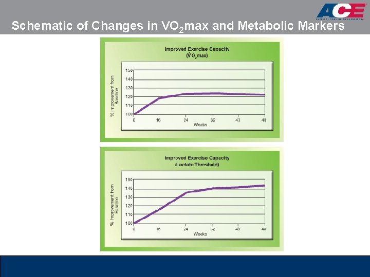 Schematic of Changes in VO 2 max and Metabolic Markers 