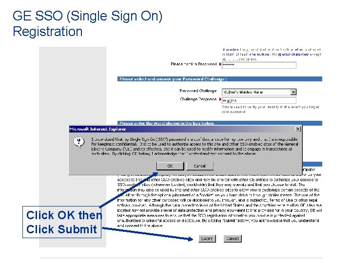 GE SSO (Single Sign On) Registration Click OK then Click Submit 