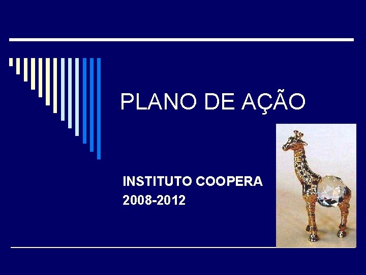 PLANO DE AÇÃO INSTITUTO COOPERA 2008 -2012 