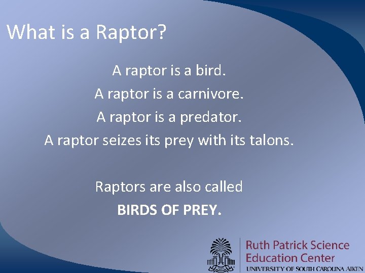 What is a Raptor? A raptor is a bird. A raptor is a carnivore. What is a Raptor? A raptor is a bird. A raptor is a carnivore.