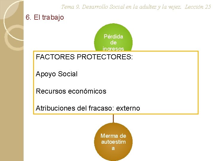 Tema 9. Desarrollo Social en la adultez y la vejez. Lección 25 6. El