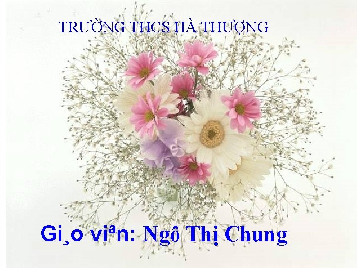 TRƯỜNG THCS HÀ THƯỢNG Gi¸o viªn: Ngô Thị Chung 