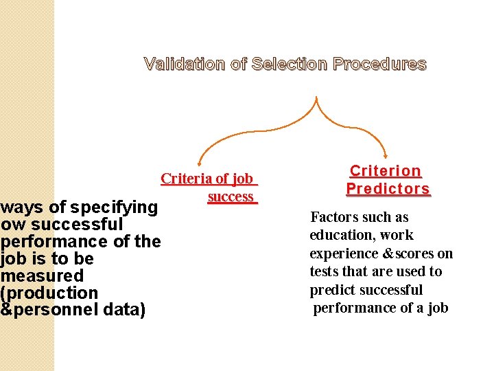Validation of Selection Procedures Criteria of job success ways of specifying now successful performance